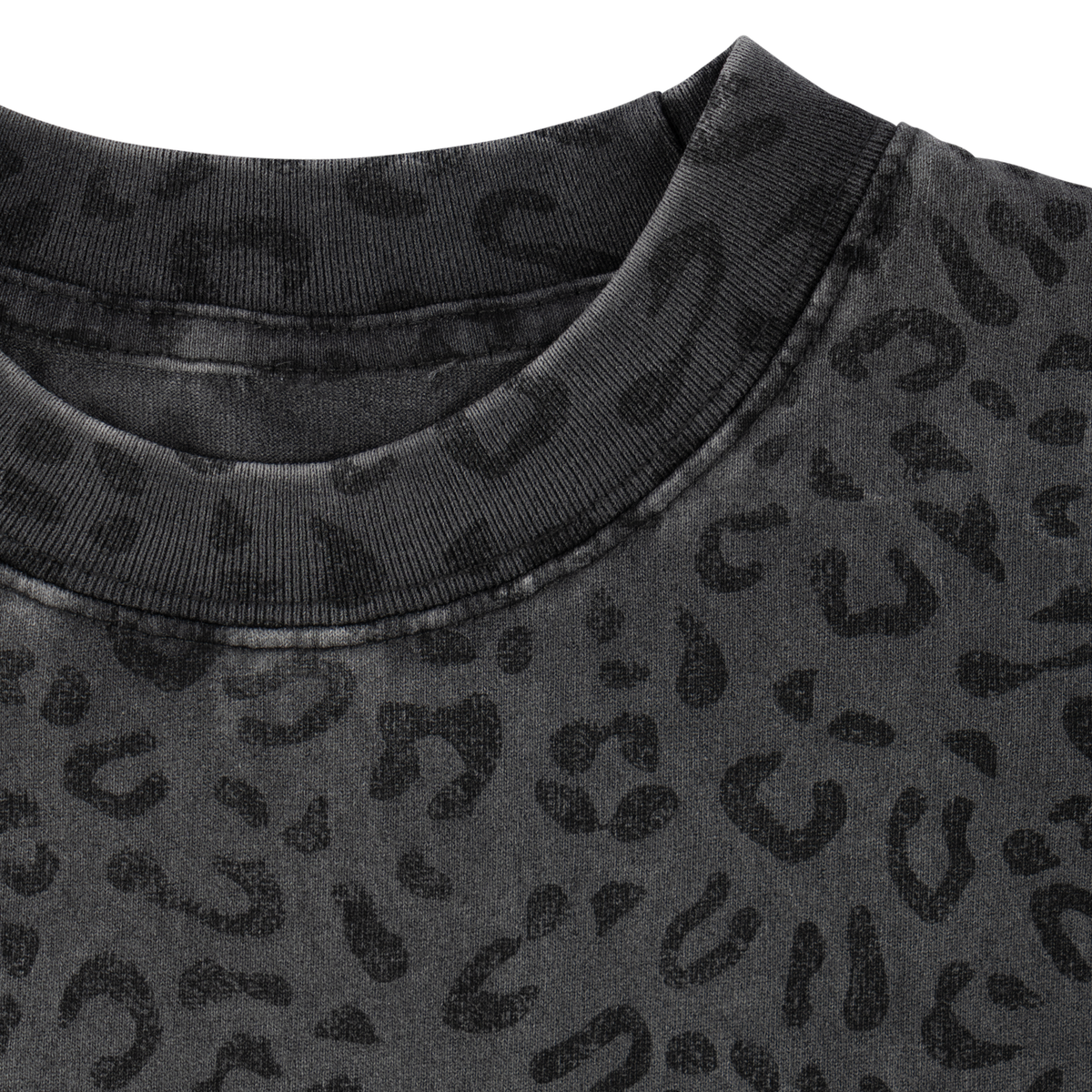 Fang Boxy Garment-Dyed Printed Tee