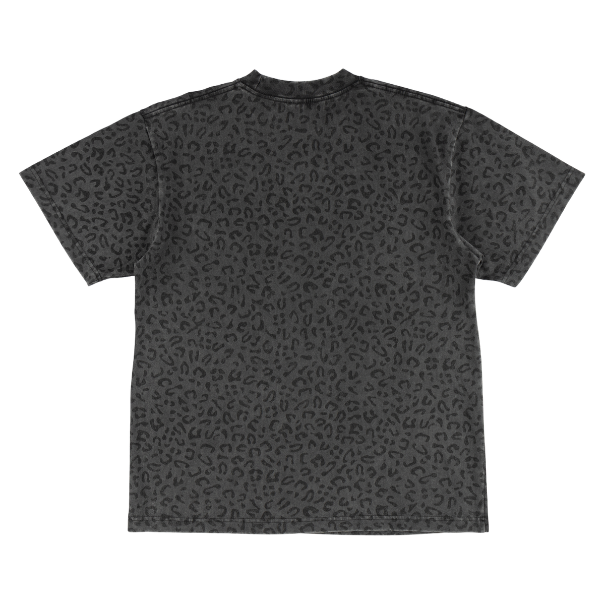 Fang Boxy Garment-Dyed Printed Tee
