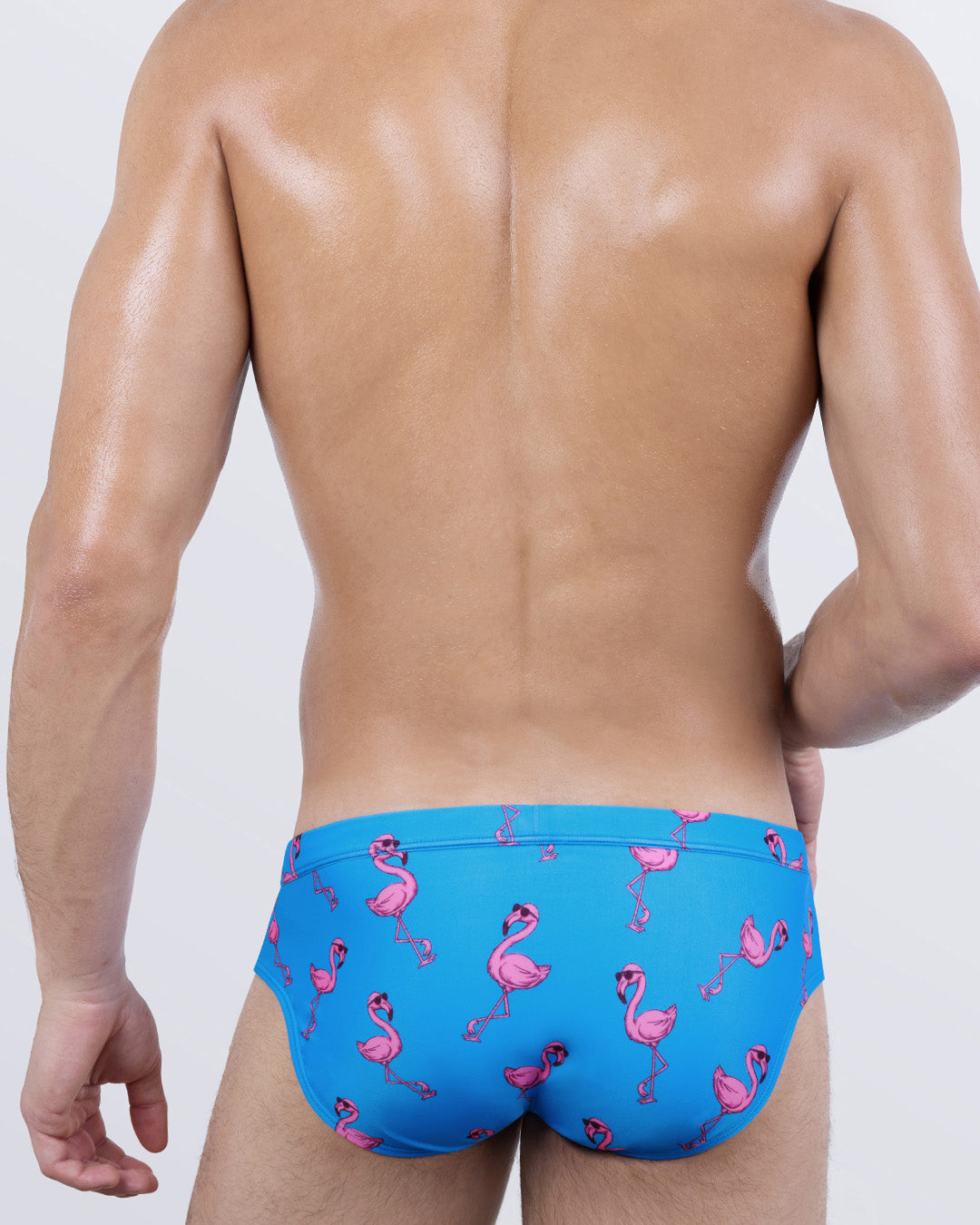 PINK FLAMINGOS - Swim Brief | DC2