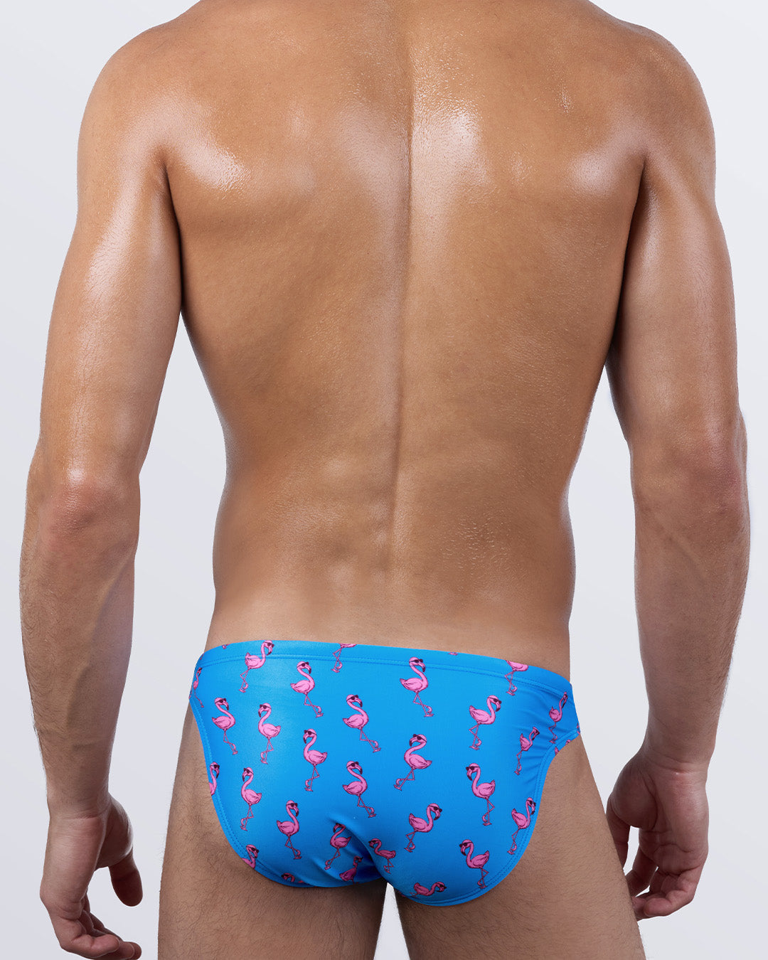 PINK FLAMINGOS - Swim Mini Brief | DC2