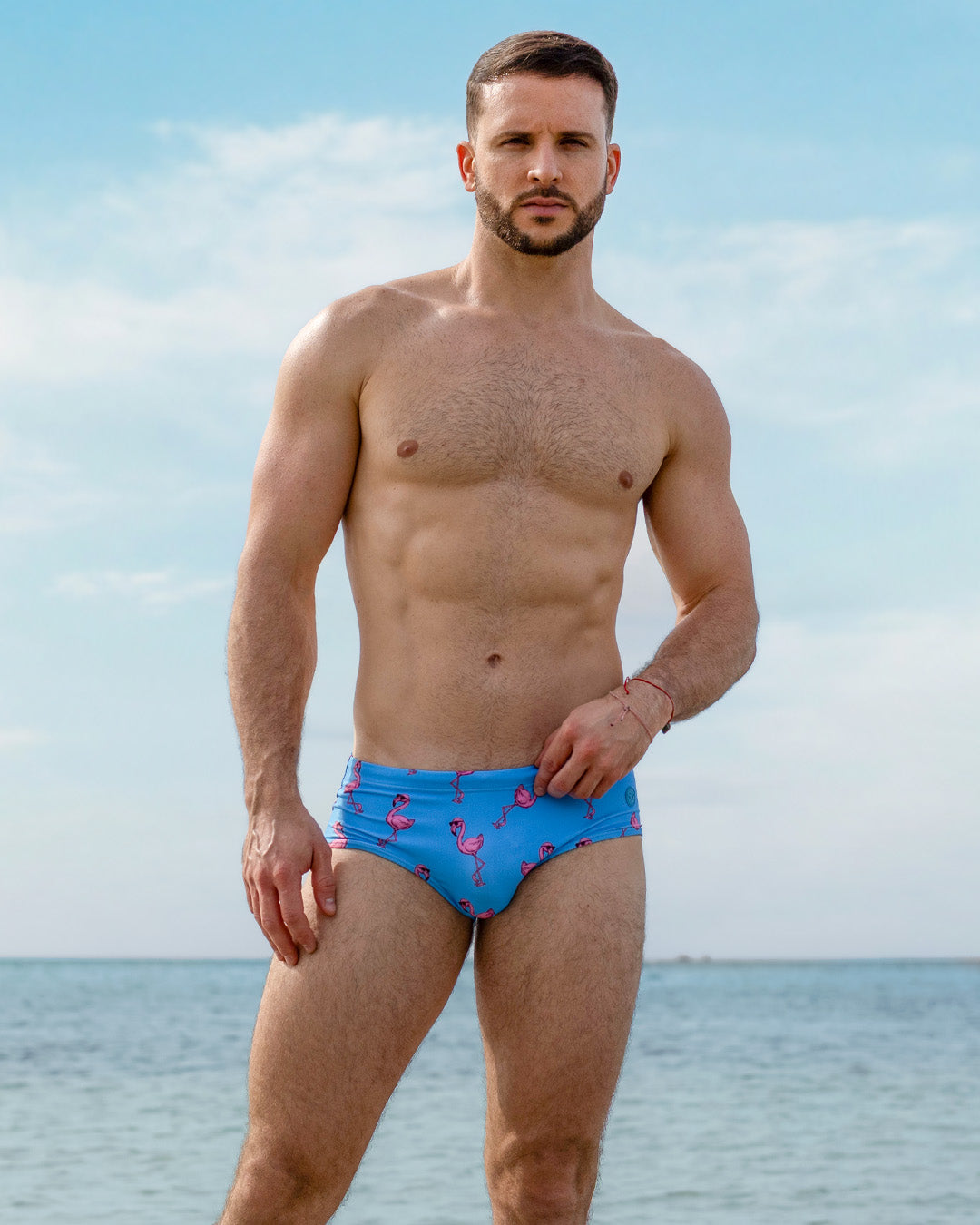 PINK FLAMINGOS - Swim Sunga | DC2