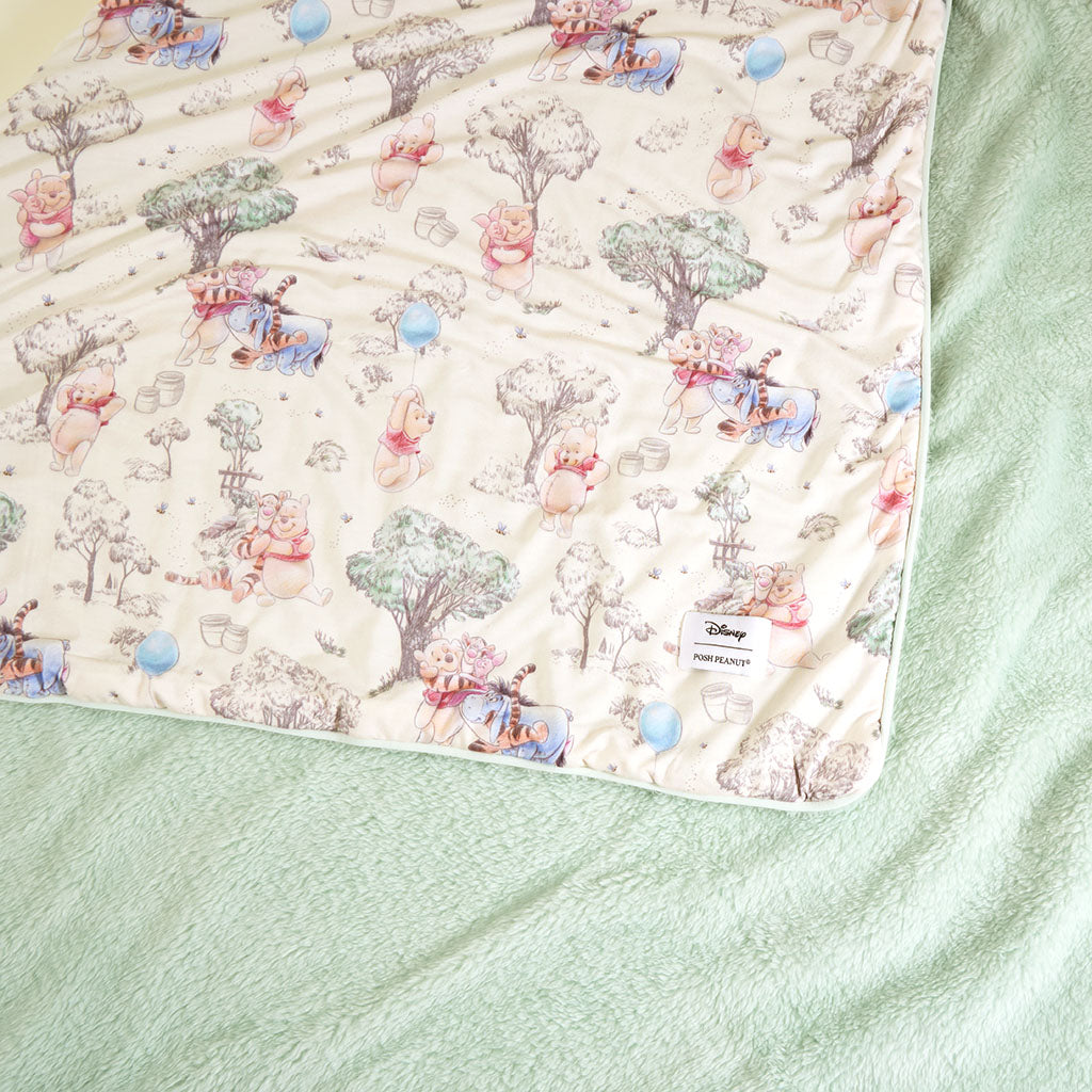 Disney Hundred Acre Wood Luxe Plush Patoo® Blanket