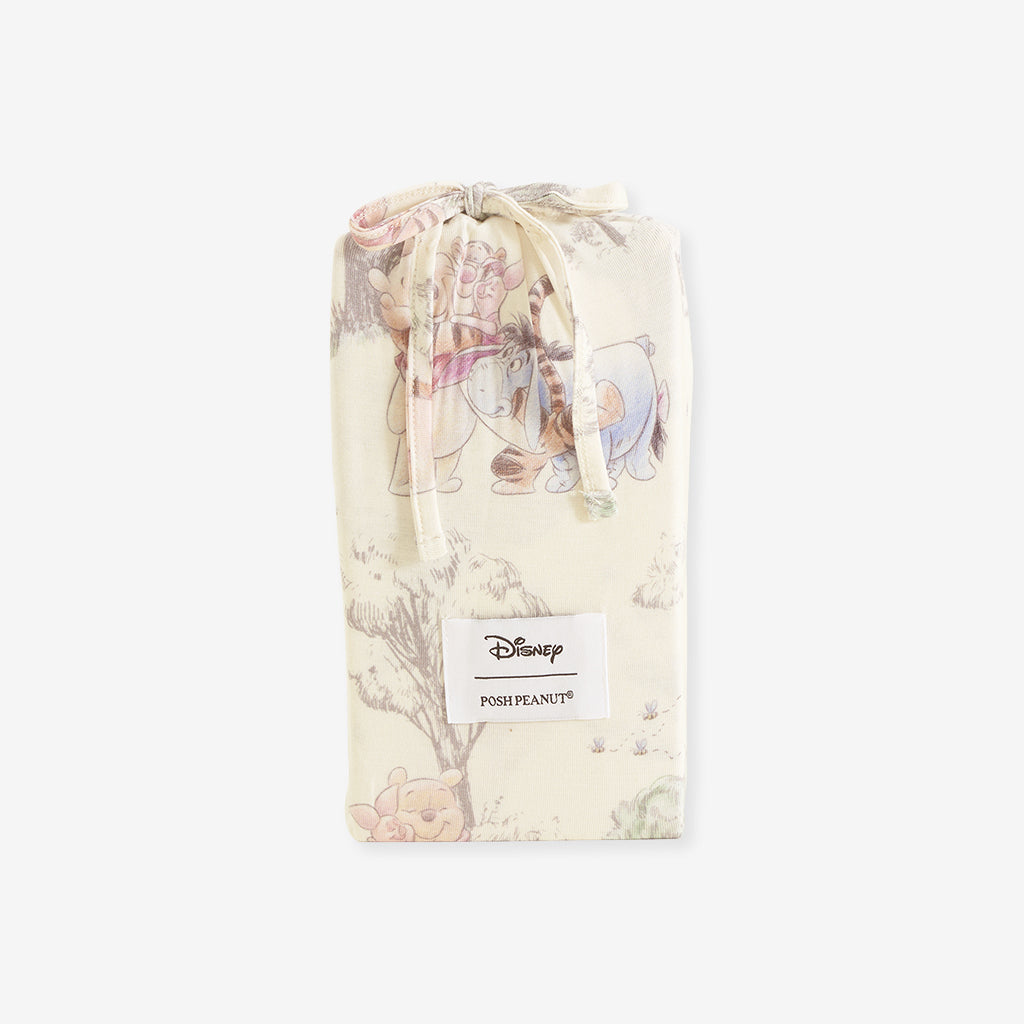 Disney Hundred Acre Wood Pad Cover