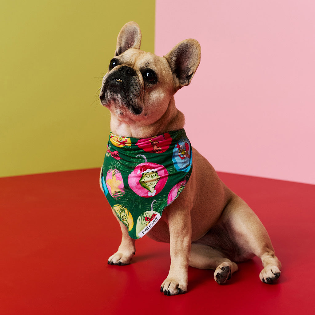 Dr. Seuss Who-liday Tree Dog Bandana