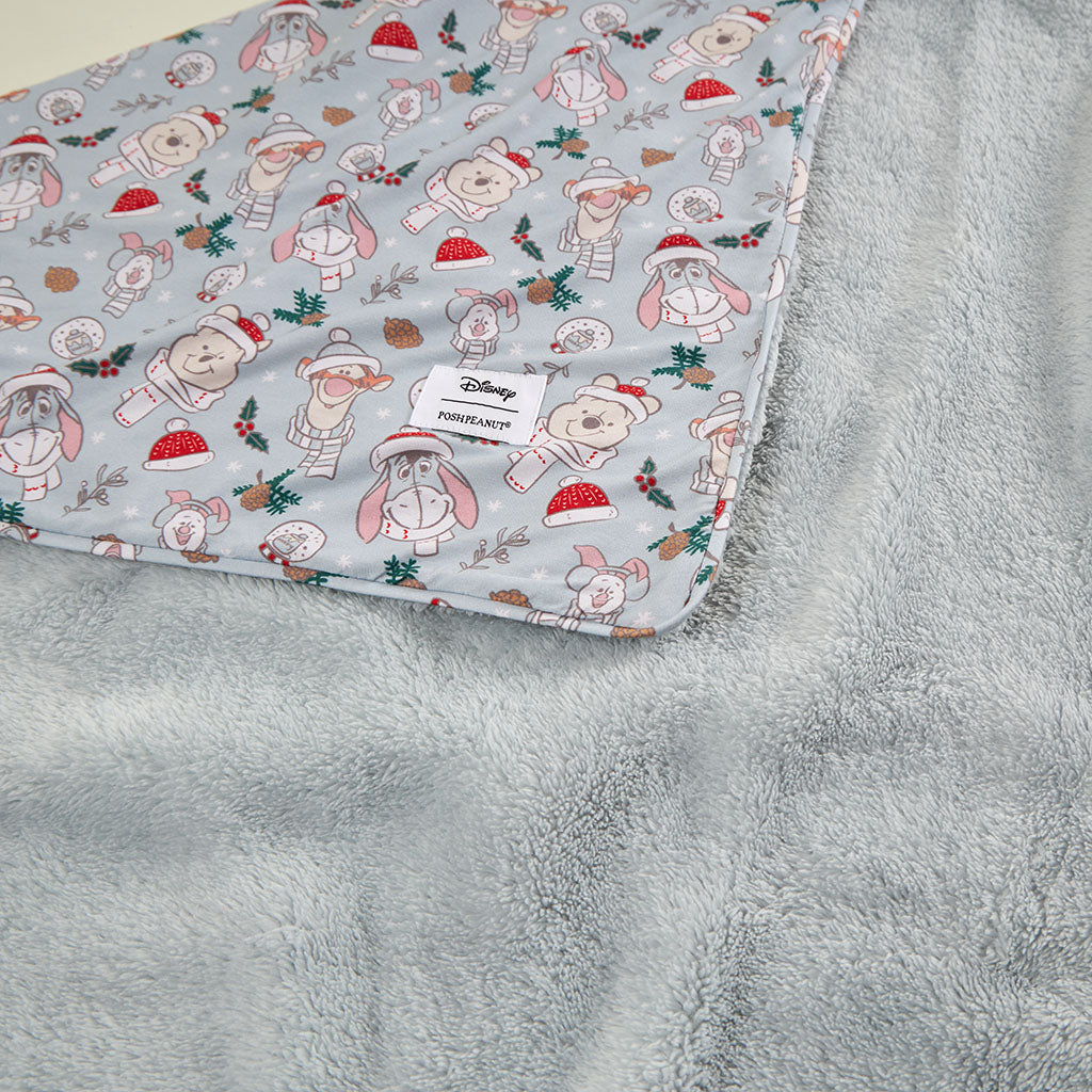 Disney Cozy Pooh & Friends Luxette Plush Patoo® Blanket
