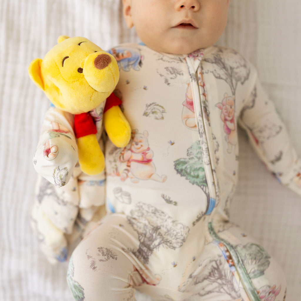 Disney Hundred Acre Wood Signature Lovey Gift Set