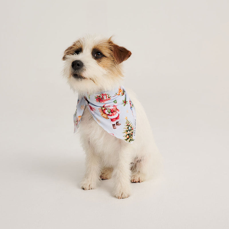 Saint Nicolas Dog Bandana