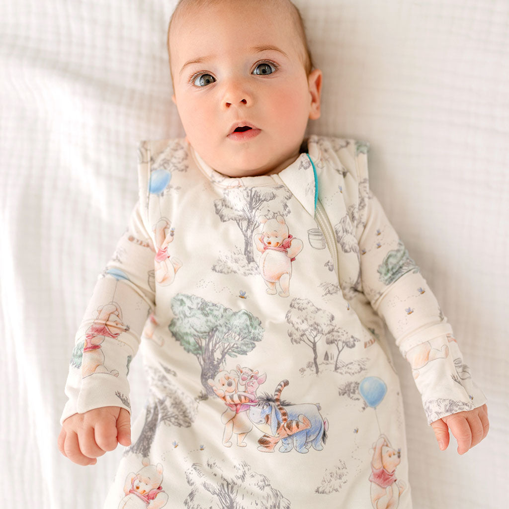 Disney Hundred Acre Woods Sleeveless Sleep Bag