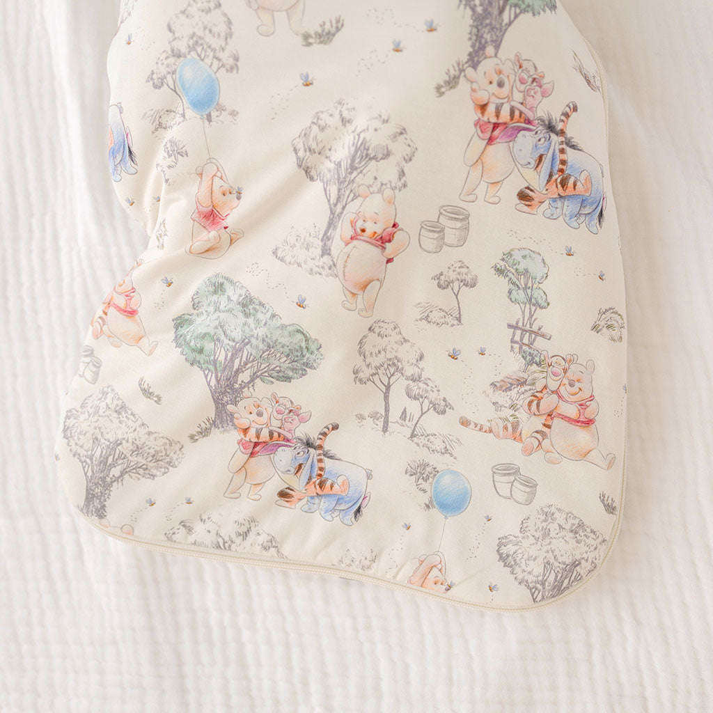 Disney Hundred Acre Woods Sleeveless Sleep Bag