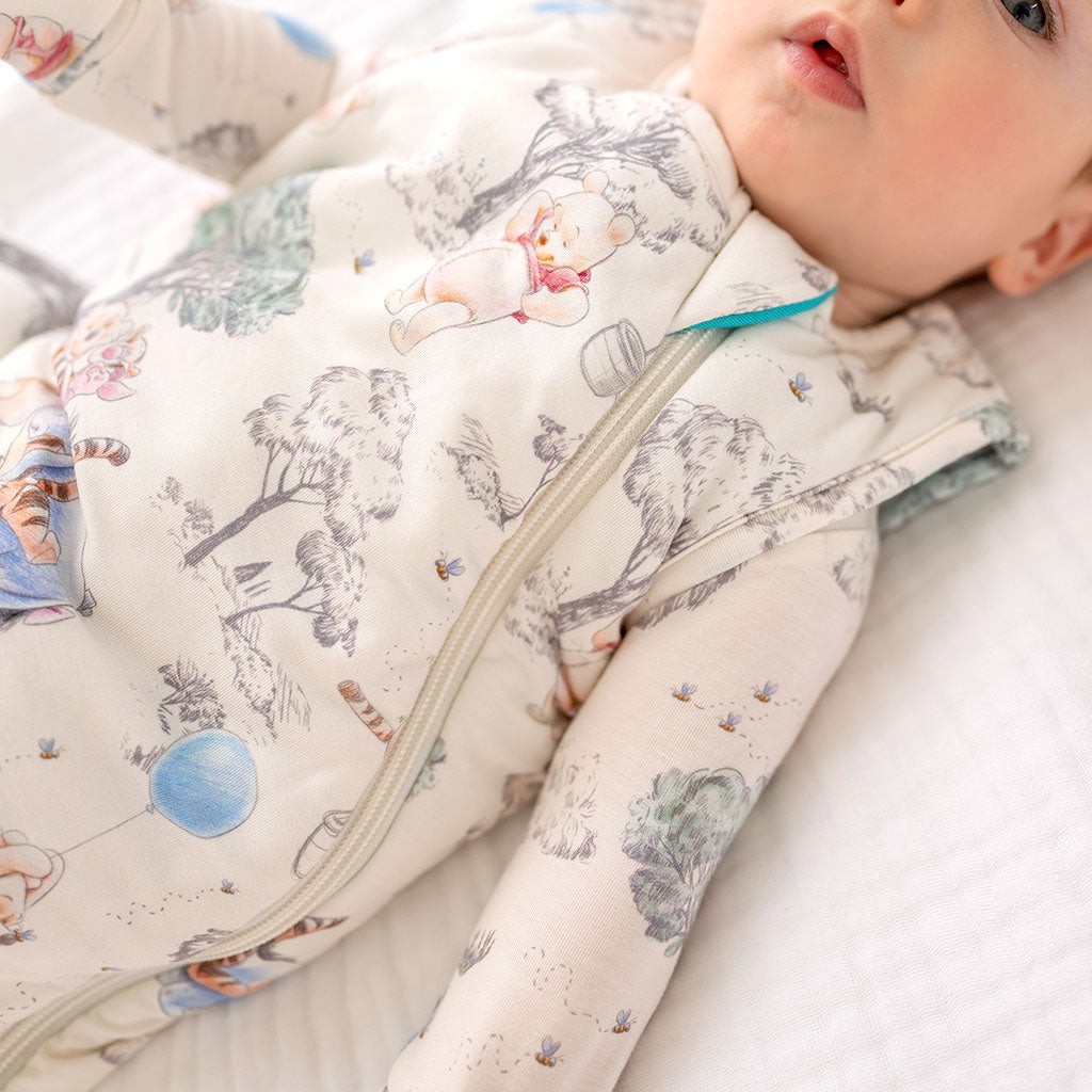Disney Hundred Acre Woods Sleeveless Sleep Bag