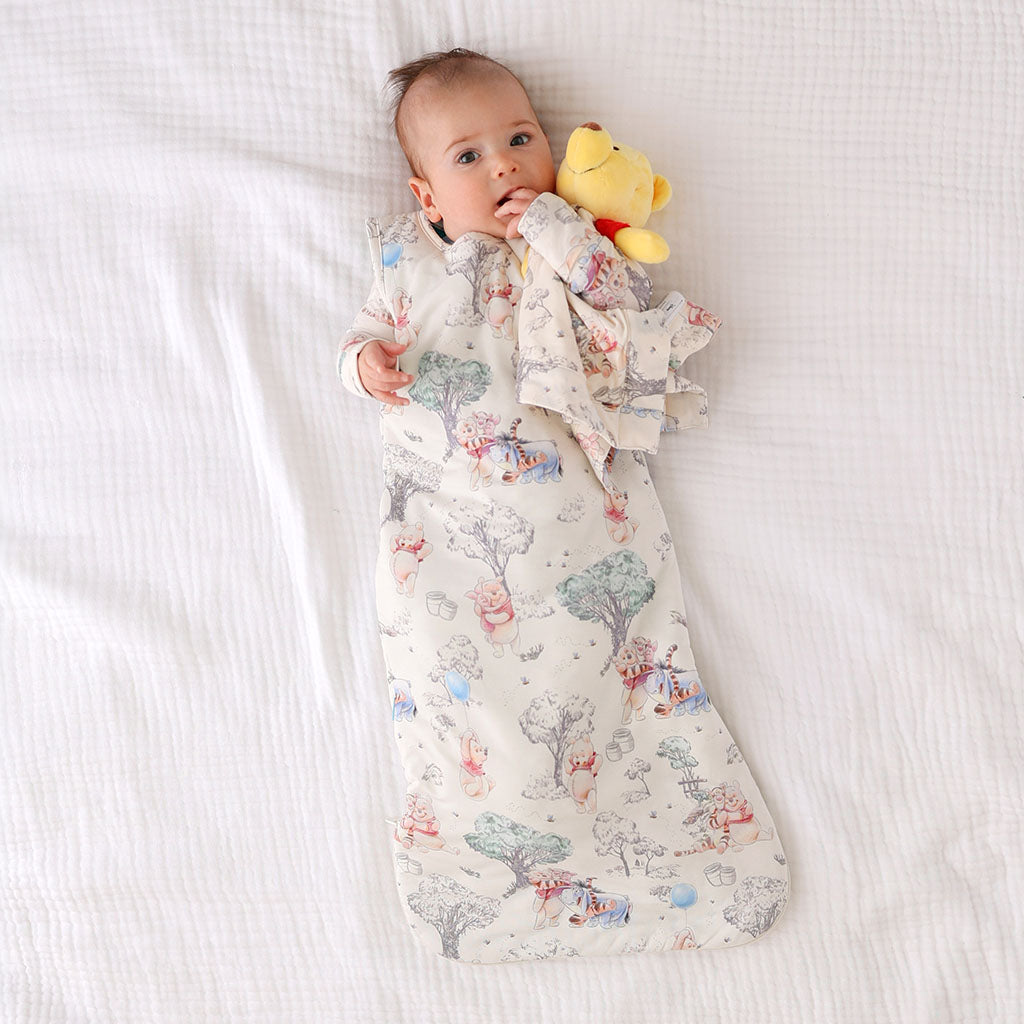 Disney Hundred Acre Woods Sleeveless Sleep Bag