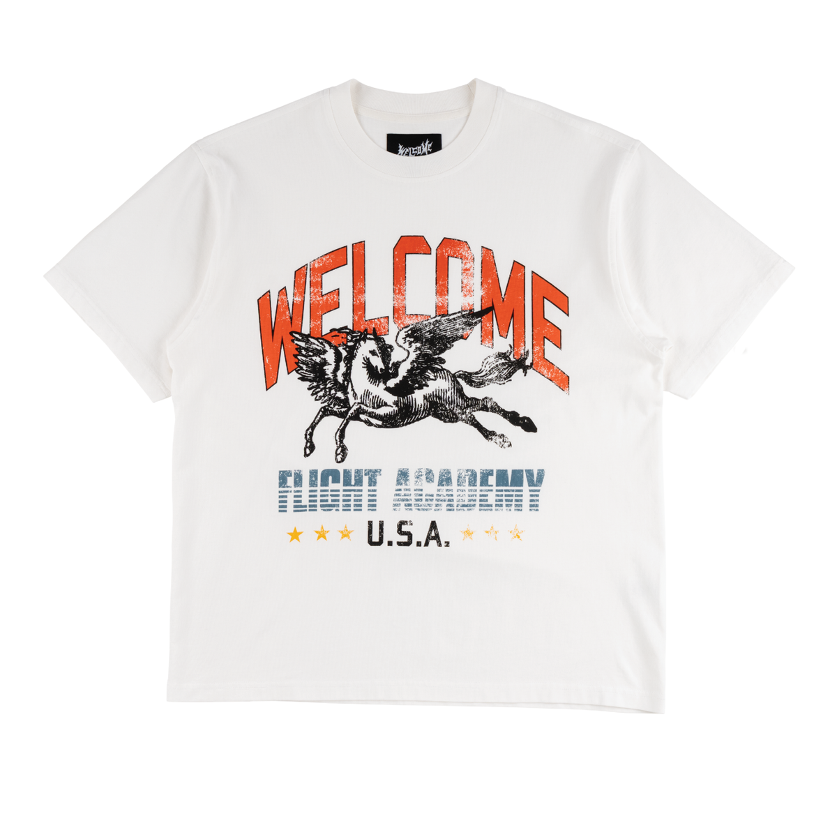 Pegasus Boxy Tee