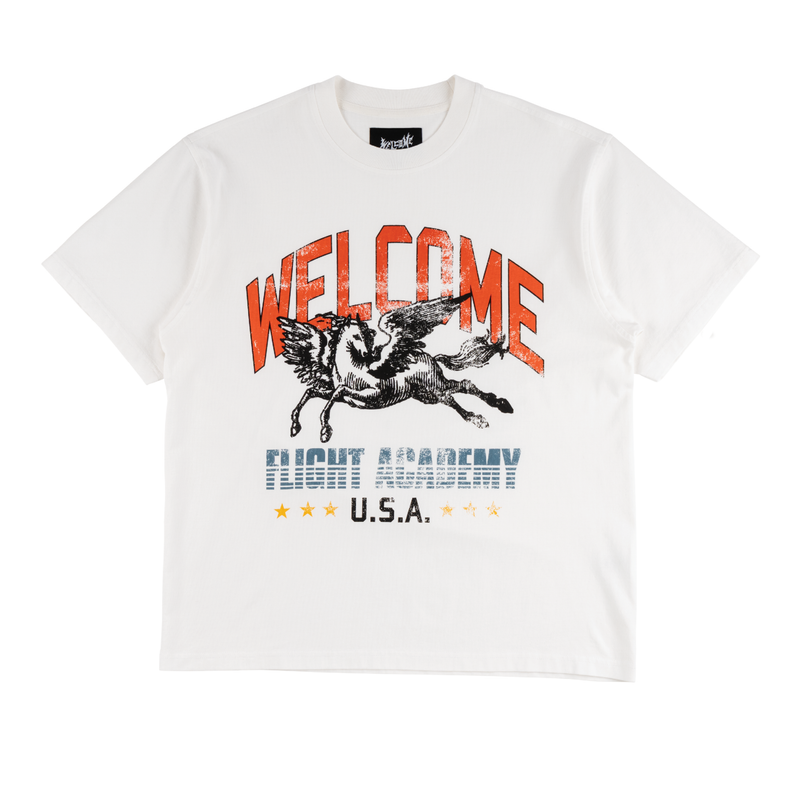Pegasus Boxy Tee