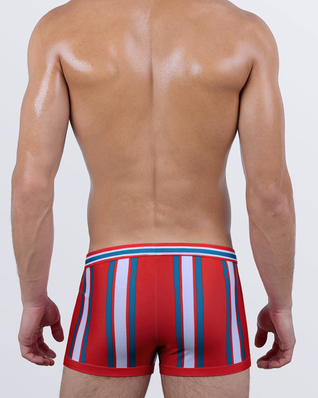 SWIFT STRIPES - Swim Trunks | DC2